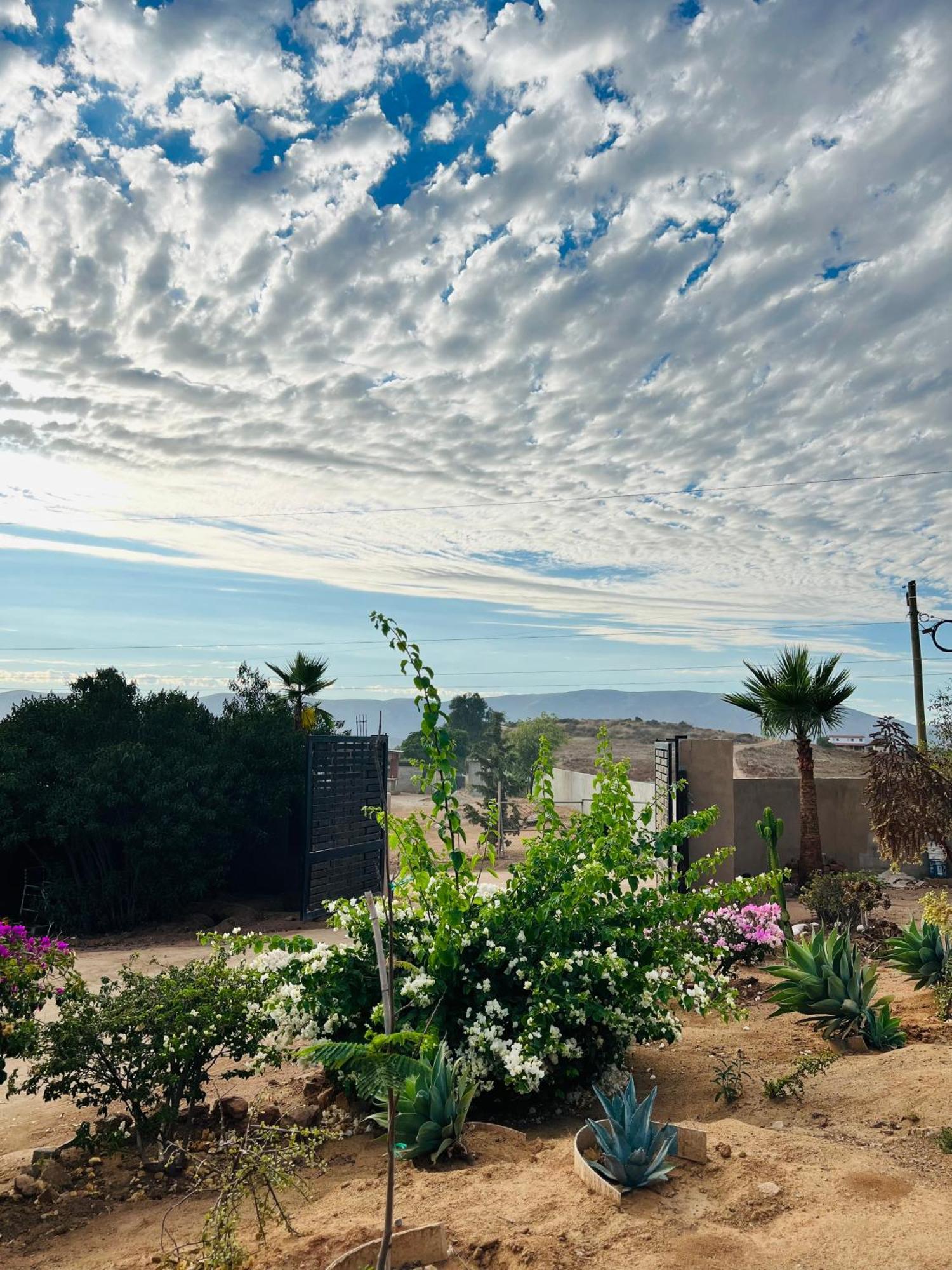 Rancho Matalote En Valle De Guadalupe Exterior foto